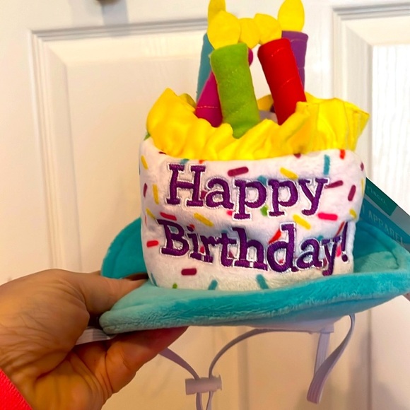 Chewy Other - # Dog birthday hat!
